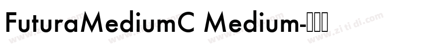 FuturaMediumC Medium字体转换